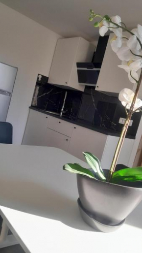 Apartma Ana